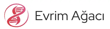 https://evrimagaci.org/